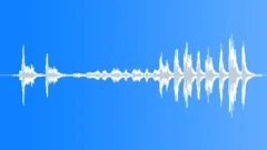 Tropical bird 11 Sound Effect