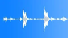 Tropical bird 13 Sound Effect