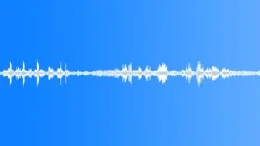 Tropical bird ambience 01 loop Sound Effect