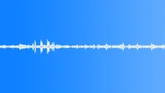 Tropical bird ambience 02 loopSound Effect