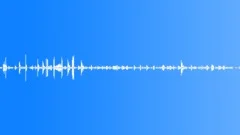 Tropical bird ambience 03 loop Sound Effect