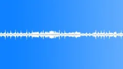 Tropical bird ambience 04 loopSound Effect