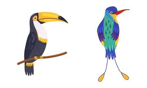 Tropical Bird with Bright Feathers Sitting on Tree Branch Vector Set Stock Illustration