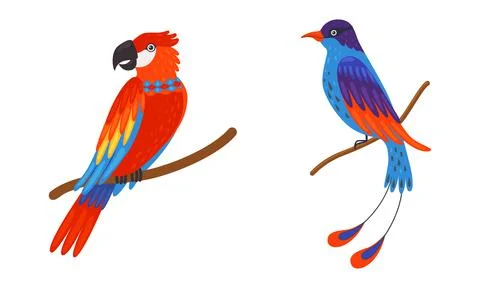 Tropical Bird with Bright Feathers Sitting on Tree Branch Vector Set 스톡 일러스트