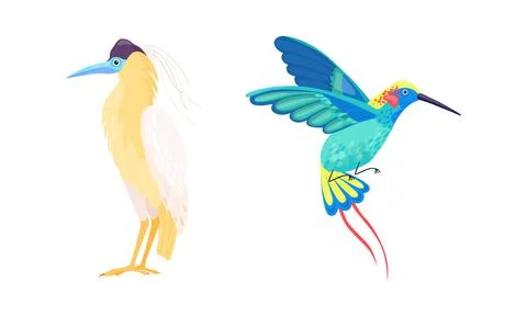 Tropical Bird with Bright Feathers Vector Illustration Set Stock Illustration
