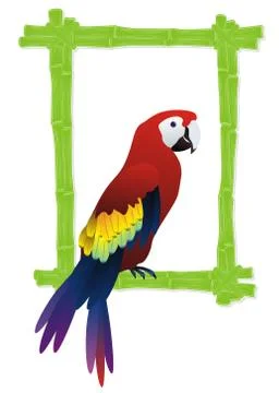 Tropical bird frame Stock Illustration