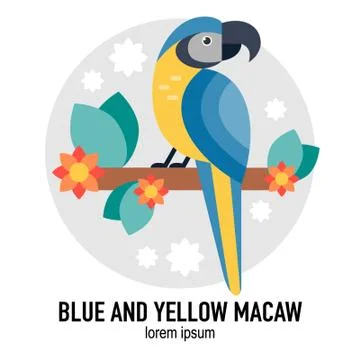 Tropical bird Stock Illustration