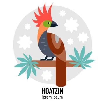 Tropical bird Stock Illustration