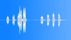 Tropical bird. Jungle owletSound Effect