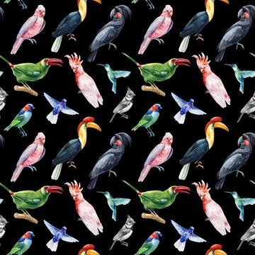 Tropical bird pattern. Seamless background colorful pattern. Watercolor birds Stock Illustration