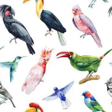 Tropical bird pattern. Seamless background colorful pattern. Watercolor birds Stock Illustration