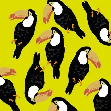 Tropical bird toucan Stock Illustration