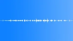Tropical Birds Ambient LoopSound Effect