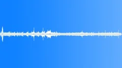 Tropical Birds and Insects 2 Sound Effect