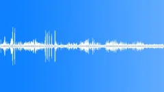 Tropical Birds and Insects 4 Sound Effect