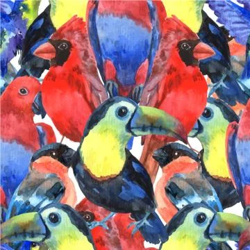 Tropical birds colored seamless pattern Stock Illustration