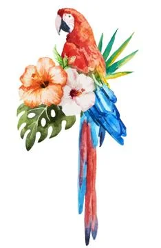 Tropical birds Stock Illustration
