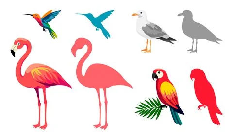 Tropical Birds Set Stock Illustration