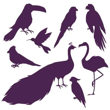 Tropical birds silhouettes, set of vector illustration isolated on white Stock Illustration