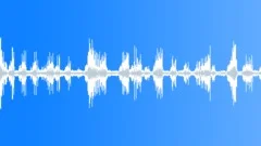 Tropical birds in Thailand jungleSound Effect