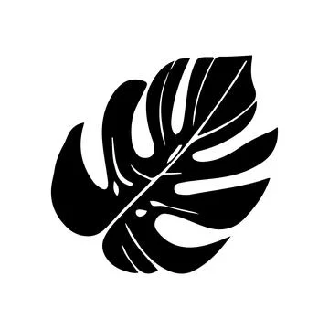 Tropical black monstera leaf isolated on white background Stock Illustration