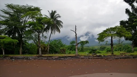 Tropical black sand beach Stock Footage 81065640