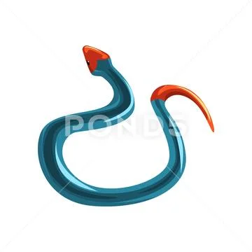 Tropical blue coral snake. Medium-sized venomous reptile with bright red head Stock Illustration