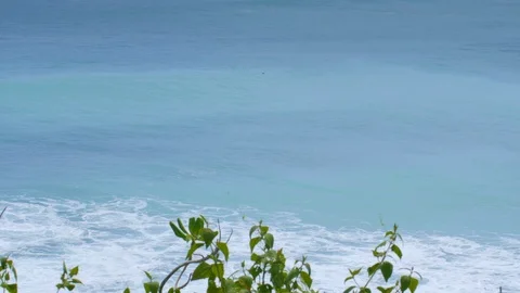 Tropical blue ocean with big waves and wind view from beach through trees Video stock 114560495