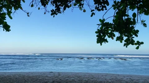 Tropical Blue Ocean Framed by Tree Canopy Leaves in Bali Stock Footage 337336564