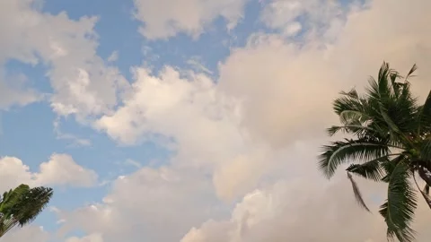 Tropical blue sky with clouds and palm trees Stock Footage 331008733