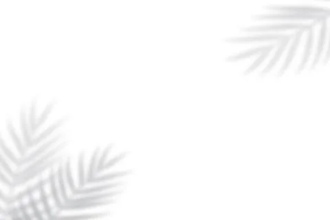 Tropical blurred leaf. Light overlay transparent effect. 库存插图
