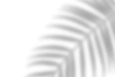 Tropical blurred leaf. Light overlay transparent effect. 库存插图