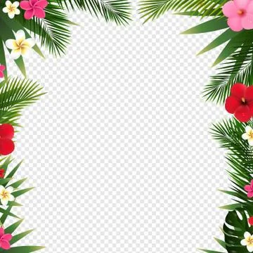 Tropical Border And White background Transparent Background Stock Illustration
