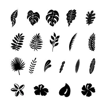 Tropical Botanical Illustrations Stock Illustration