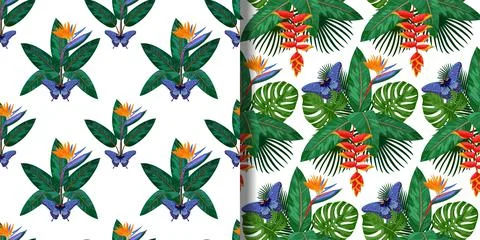 Tropical Bouquet Seamless Patterns set Stock Illustration