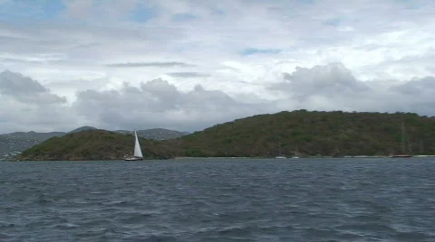 Tropical Breezes Stock Footage 458447