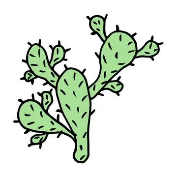 Tropical cactus, cute doodle Stock Illustration