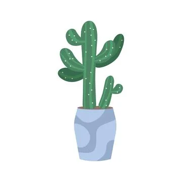 Tropical cactus in pot Illustration