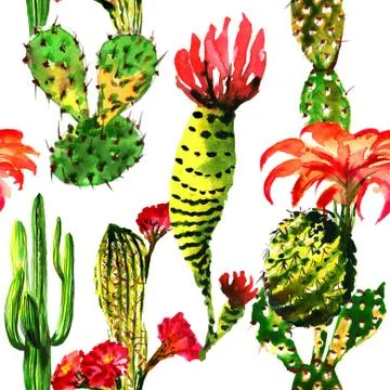 Tropical cactus tree pattern in a watercolor style isolated Illustrazione stock