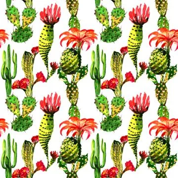 Tropical cactus tree pattern in a watercolor style isolated 스톡 일러스트