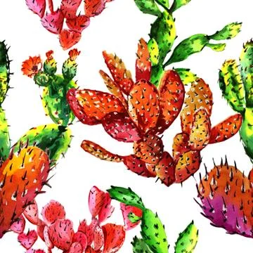 Tropical cactus tree pattern in a watercolor style isolated Stock Illustration