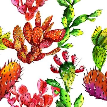 Tropical cactus tree pattern in a watercolor style isolated Illustrazione stock