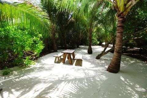 Tropical cafe 写真素材