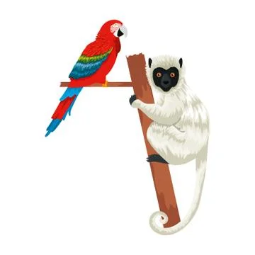 Tropical capuchin monkey and parrot Stock Illustration