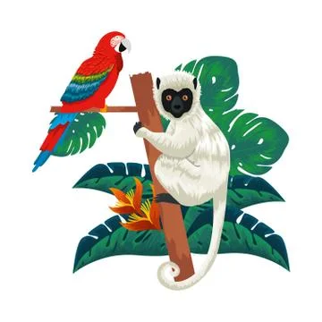 Tropical capuchin monkey and parrot in leafs palms Stock Illustration