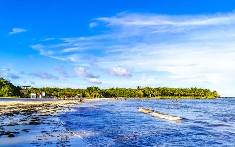 Tropical caribbean beach cenote Punta Esmeralda Playa del Carmen Mexico. Stock Photos