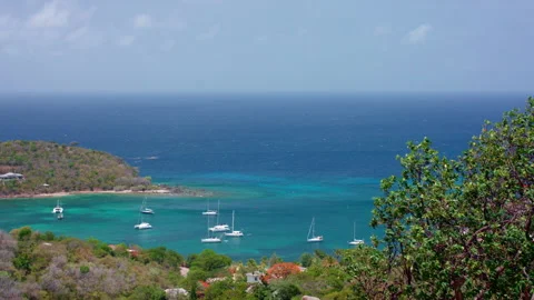 Tropical Caribbean Stock Footage 165235742