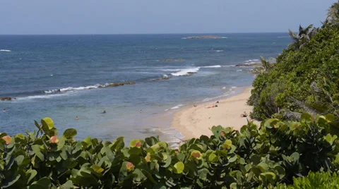 Tropical caribbean hidden beach Stock Footage 27347364