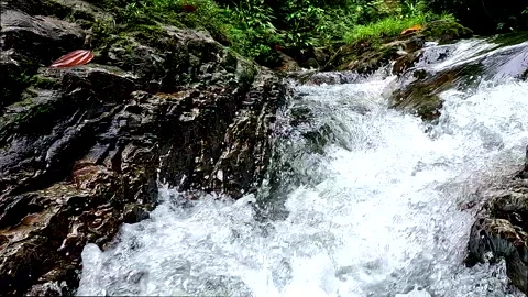 Tropical cascade in slow motion; nature background of freshwater cascade Stockbeeldmateriaal 336932433