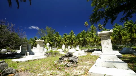 Tropical cemetary Stock Footage 45547800